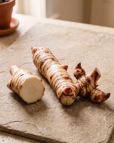A firm cylindrical galangal rhizome on stone with pale cream skin, dark rings and pink shoots, beside a hard pale cream cut face with concentric rings.