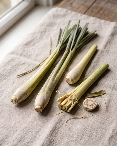 Several whole lemongrass stalks on linen with pale woody bulbous bases and grey-green fibrous tops; one bruised at the base and one cut in cross-section showing concentric rings.